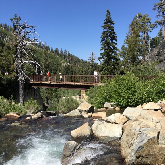 Meet your Posher, Anou. - Picture 6 of 8